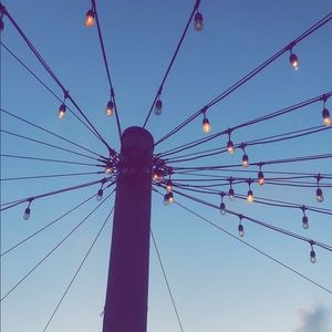 Meet your Posher, Gracie